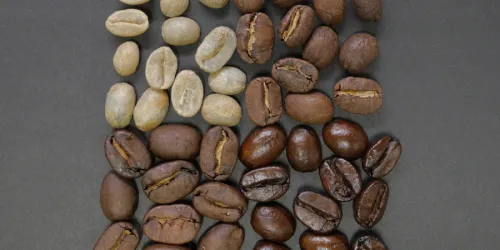organic vs. nonorganic coffee